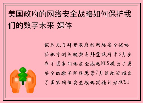 美国政府的网络安全战略如何保护我们的数字未来 媒体