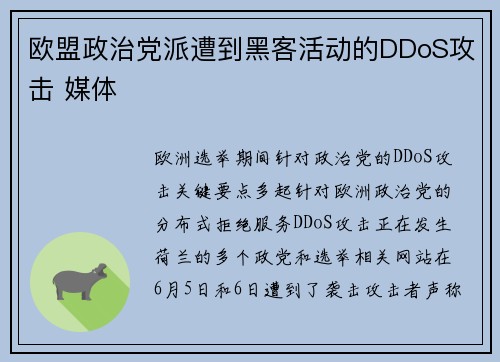 欧盟政治党派遭到黑客活动的DDoS攻击 媒体
