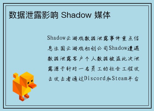 数据泄露影响 Shadow 媒体