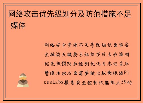 网络攻击优先级划分及防范措施不足 媒体