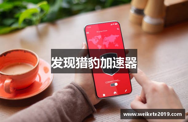 发现猎豹加速器