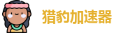 猎豹VPN【官网入口】| 安全连接，稳定加速
